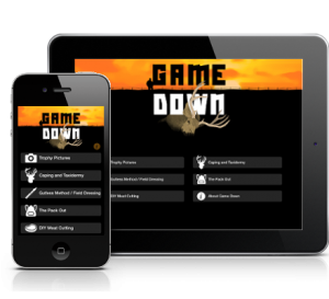 play game down